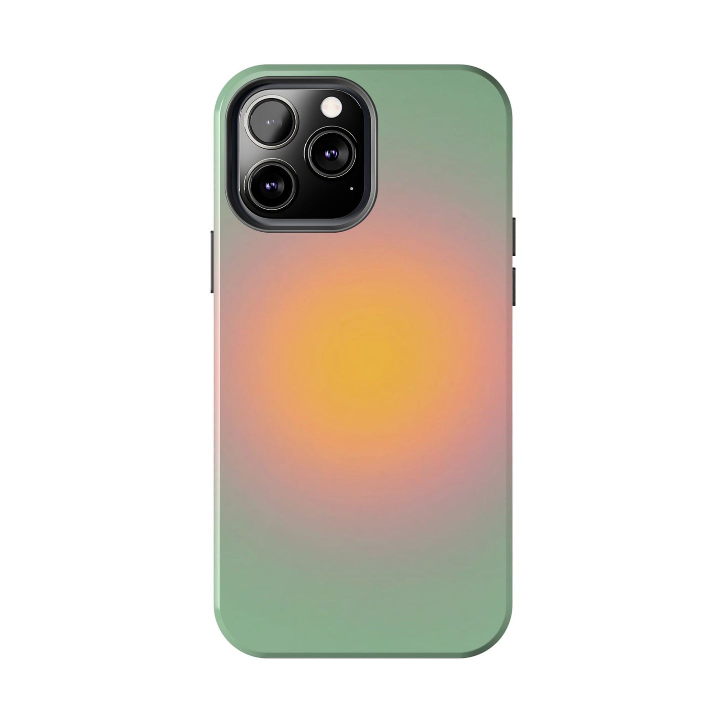 Sage & Orange iPhone Case