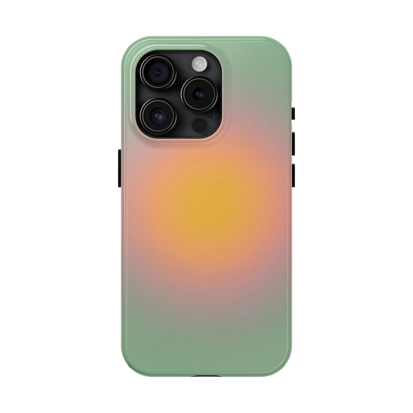 Sage & Orange iPhone Case