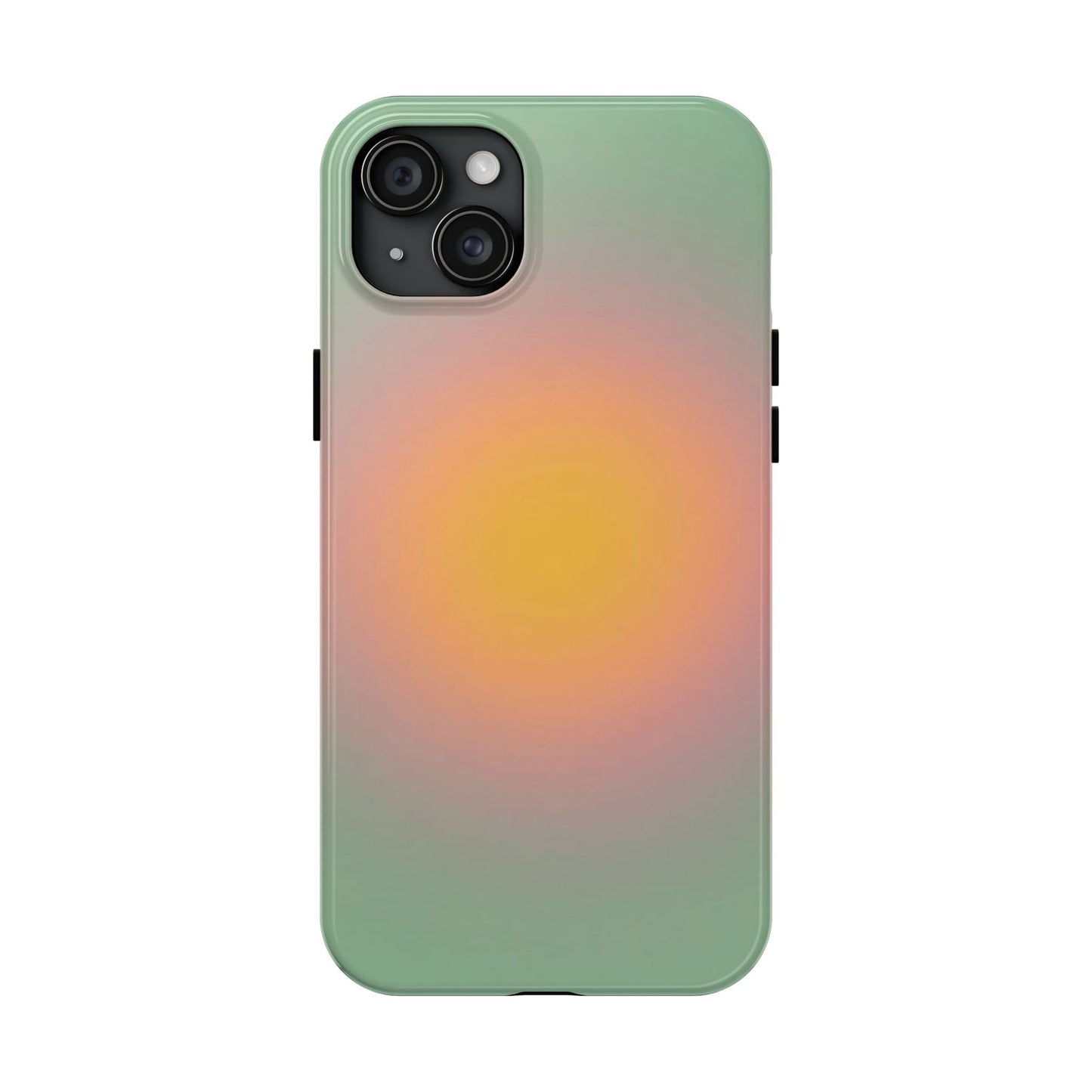 Sage & Orange iPhone Case